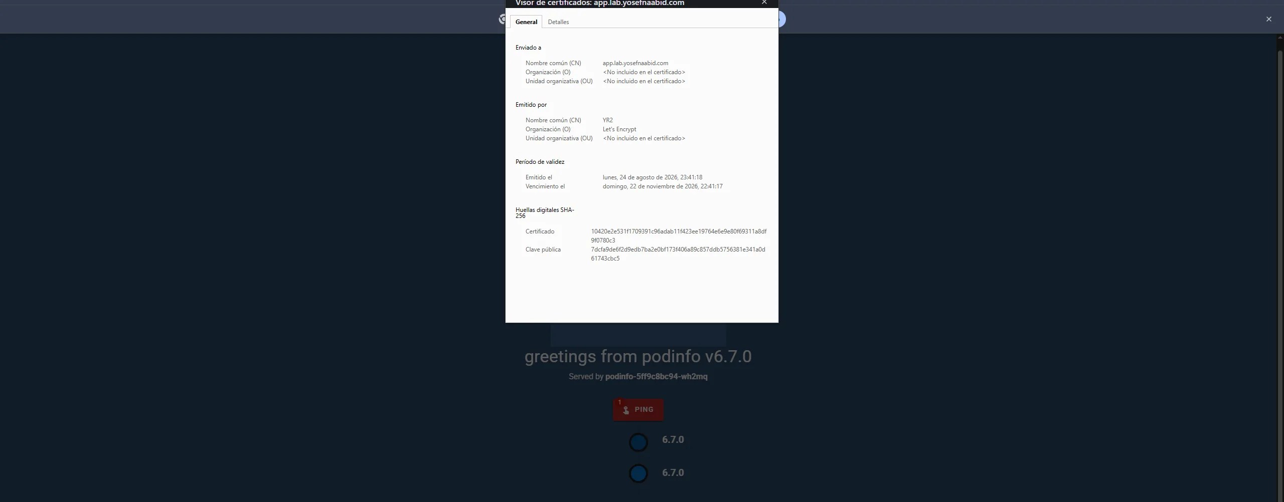 La aplicación del clúster con su certificado de Let's Encrypt, emitido por reto DNS