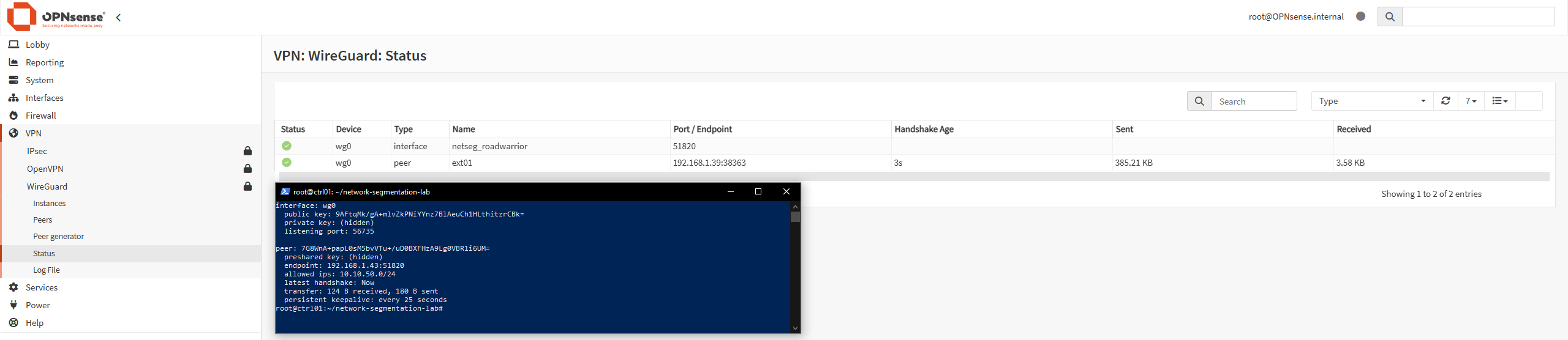 The external client connected over WireGuard, with its route limited to the management network